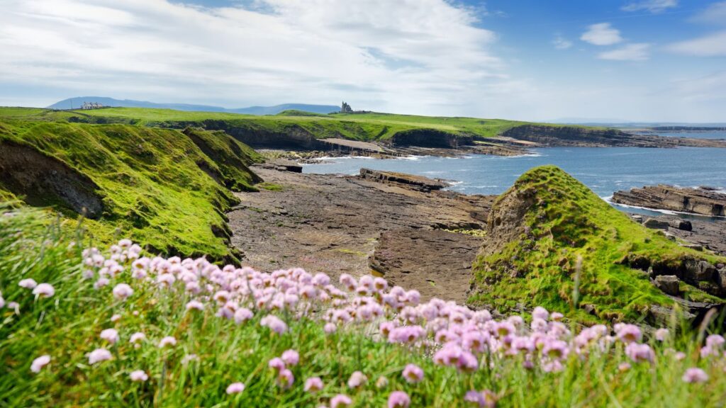 Wild Atlantic Way, County Sligo, Ireland