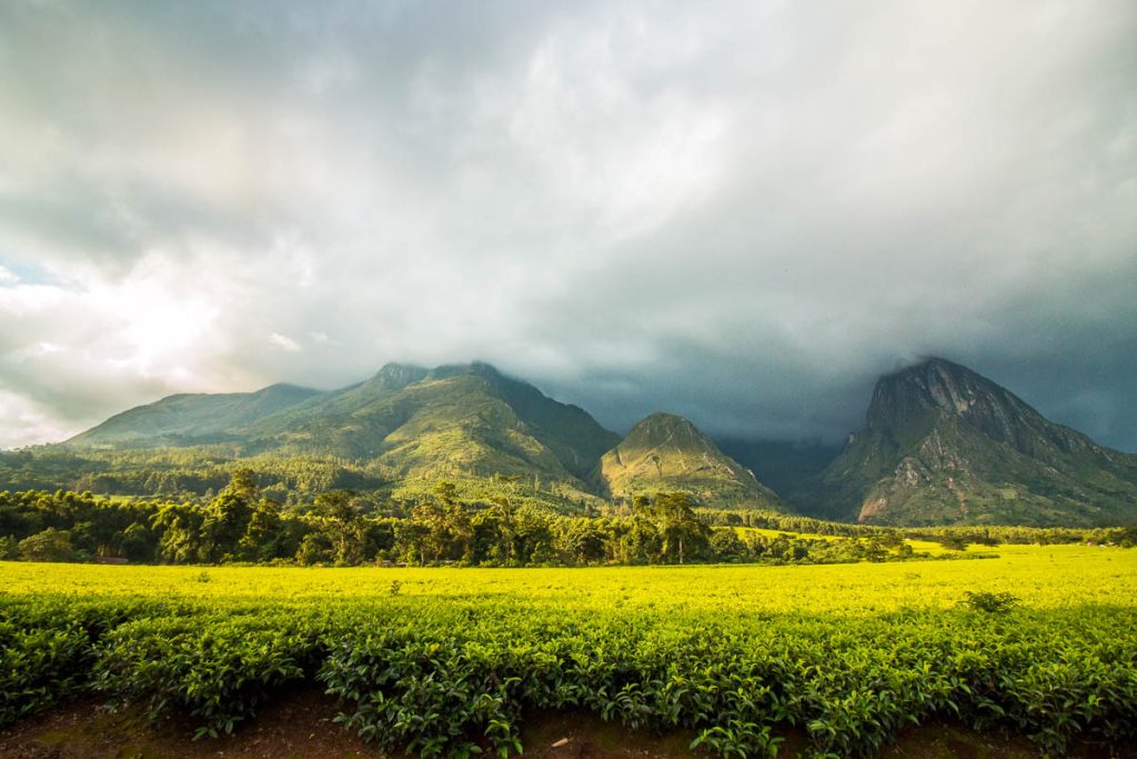 Malawi, Mount Mulanje