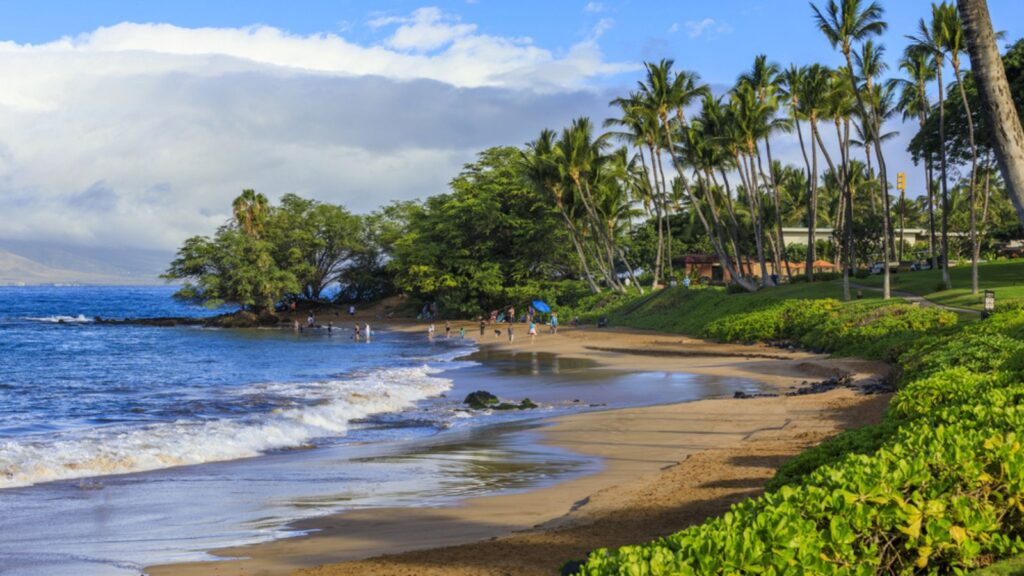 Beach scene with palm trees and ocean in Hawaii.