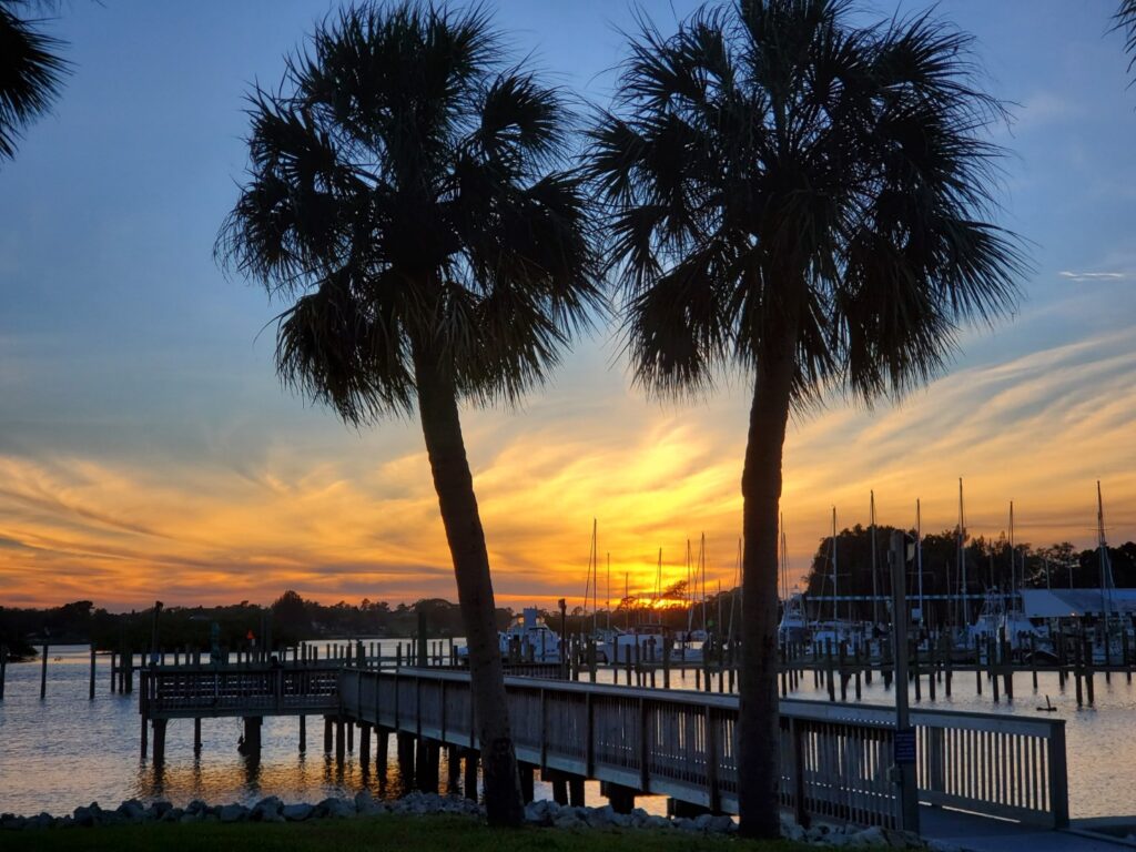 Palm Trees at Sunset Tarpon Springs Florida