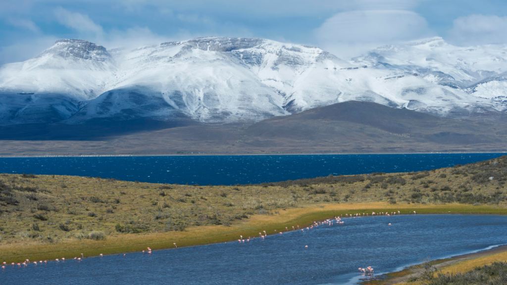 Patagonian Expedition Race, Chile