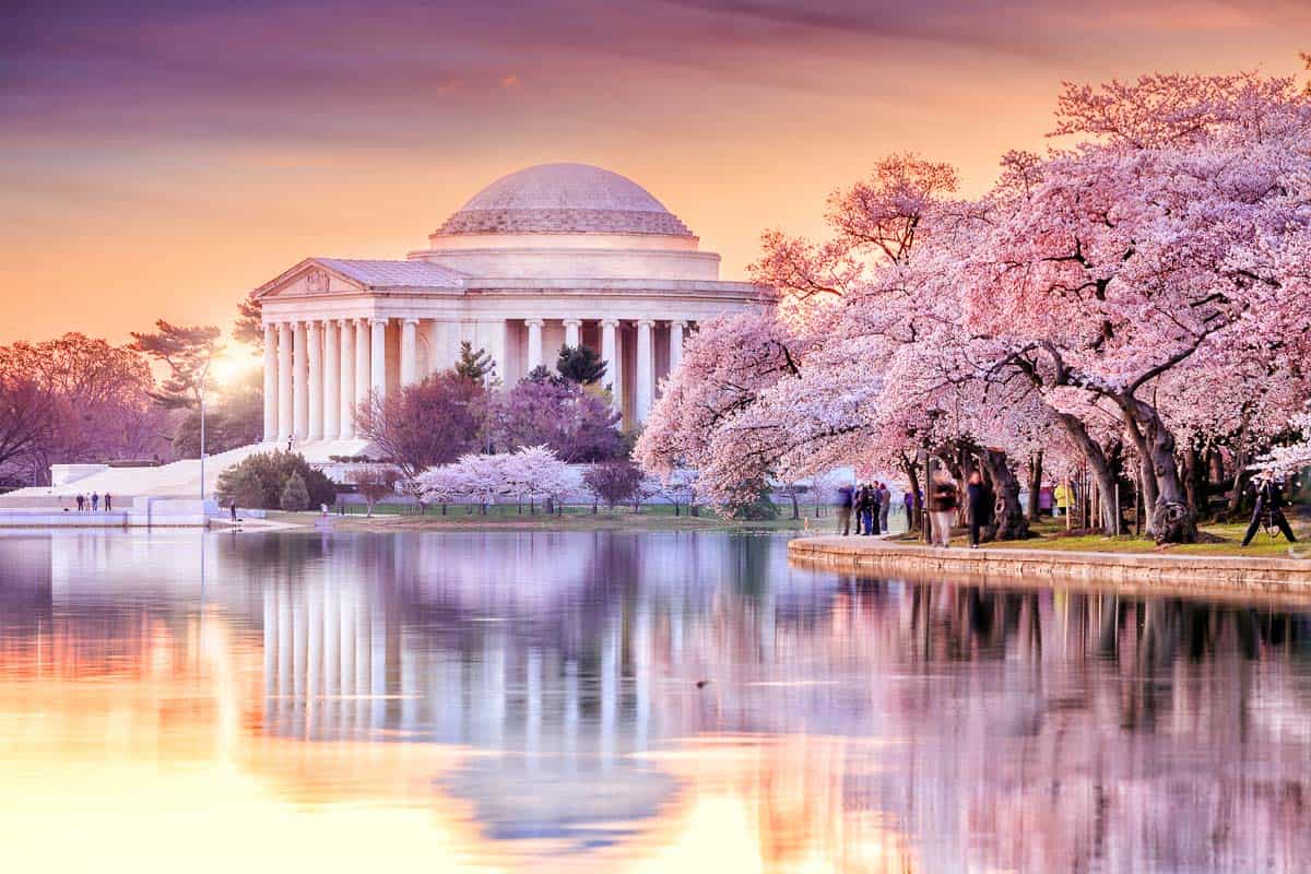 the Jefferson Memorial during the Cherry Blossom Festival. Washington, DC